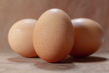 huevos, alimento, huevos, café, aislada, gallina, blanco, desayuno, crudo, organica, ingrediente, tres, proteína, caracola, pascua, fresco, salubre, chacras, cáscara de huevo, grupo, nativo, animal, o