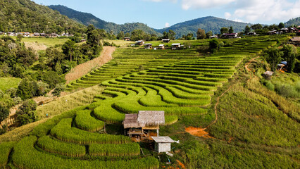 Aerial view of Rice terrace at Ban pa bong piang in Chiang mai Thailand