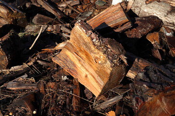 Plenty of firewood. Log of wood. Sunny day. Värmland, Sweden, Scandinavia, Europe.