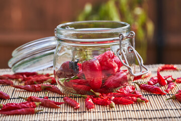 Still life picture of preserving jar full of fresh harvested organic red chilli peppers or paprika...