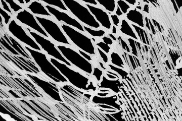 Fabric black white pattern vintage material background abstract design texture textile