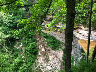 waterfall in the woods
