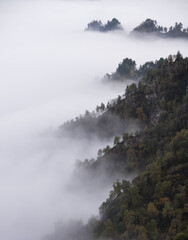 Fog in the mountains and clouds in the gorges of the mountains overgrown with trees, the view point above the clouds
