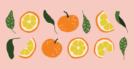 Vector winter delicious oranges and slices illustrations. Hand painted orange fruits. Cozy cute flat fruit icons