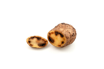 Rotten spoiled potatoes cross-section on white background. Concept - Incorrect storage of products....