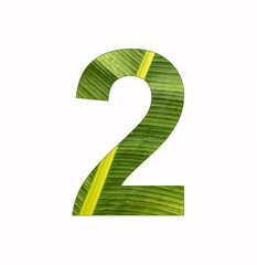Number 2, digit on banana plant leaf background
