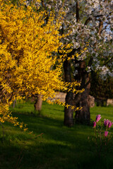 autumn park in the park