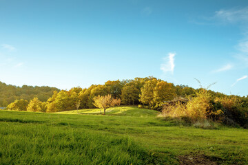 Hilly rural landscape in autumn season.