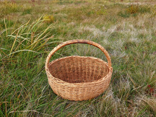 Fototapeta na wymiar Wicker basket on green grass. Outdoor picnic concept.