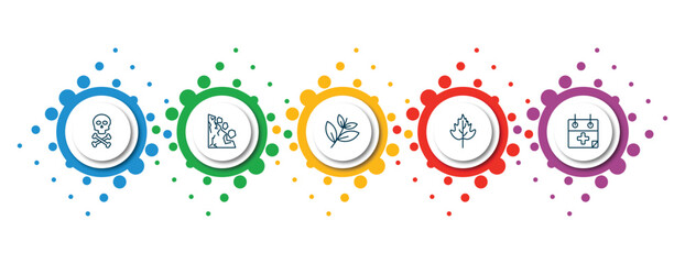 editable thin line icons with infographic template. infographic for nature concept. included death, mountain pse, black willow, hawthorn leaf, treatments icons.