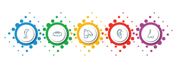 editable thin line icons with infographic template. infographic for human body parts concept. included men leg, men chest, men shoulder, human ear, male e of a line icons.