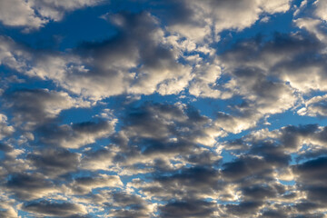 Gray white stratus clouds