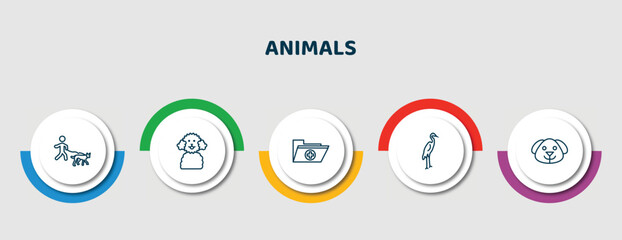 editable thin line icons with infographic template. infographic for animals concept. included walking dog, poodle, medic folder, heron, dog head icons.