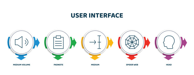 editable thin line icons with infographic template. infographic for user interface concept. included medium volume, padnote, medium, spider web, head icons. © IconArt