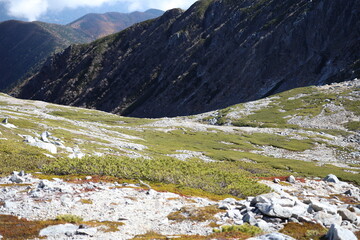 landscape with green grasses in the mountains