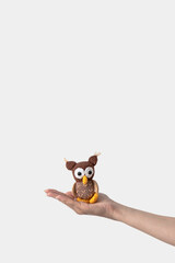 Owl in a hand on white background