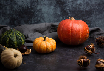 autumn still life with pumpkins