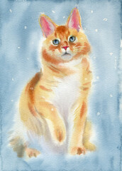 Watercolor painting. Red cat on a christmas blue background. - 544212551
