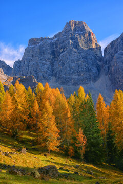 View of Monte Pelmo in autumn, Dolomites mountains, Italy, Europe © Rechitan Sorin