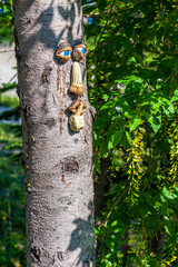 Face on a tree, shhhhh