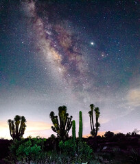 desert at night with milky way in the background, yucca plants and cactus in zimapan hidalgo 