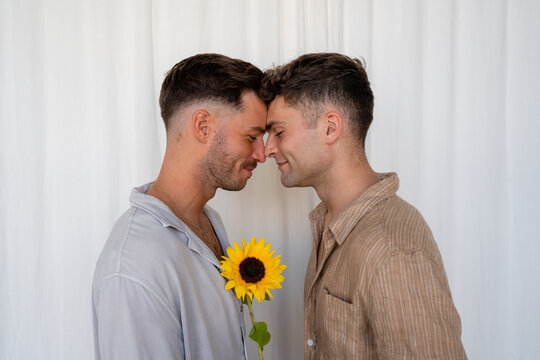 Beautiful Gay couple foreheads together over sunflower with white curtain background
