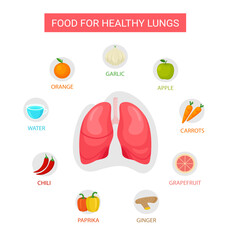 Best food for health Lungs, health food illustration, nutrition, nutrition infographic concept