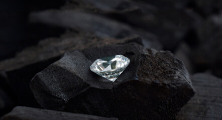 Diamonds are real, placed on black charcoal.