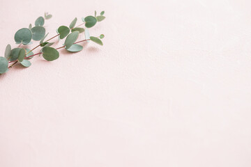 背景　フレーム　植物　ユーカリ　ハーブ　緑　ピンク
