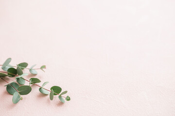 背景　フレーム　植物　ユーカリ　ハーブ　緑　ピンク