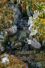 Little creek among autumn grass and stones