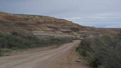 Fototapeta premium Road in the desert