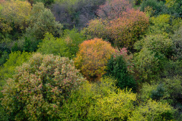 Obraz premium autumn in the mountains