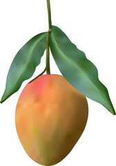 Mango Fruit with Leaves