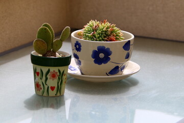 Flower pot with green plants in the city park.