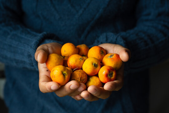 Unrecognizable man holds delicious tejocote fruits