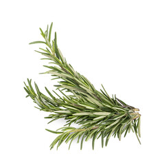 Rosemary isolated on transparent background. (.PNG)