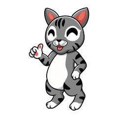 Cute manx cat cartoon giving thumbs up