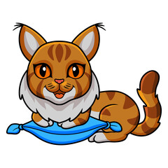 Cute maine coon cat cartoon on the pillow
