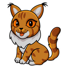 Cute maine coon cat cartoon