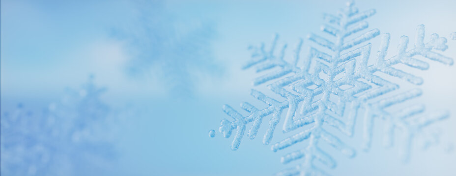 Snowflake Festive Background. Natural, Frosty Winter Banner with copy-space.
