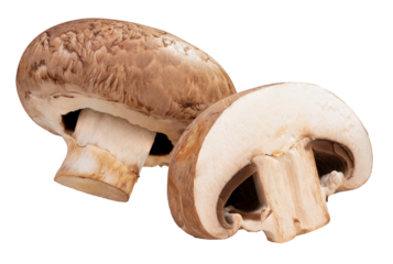 Fresh White champignon mushroom isolated background, White champignon mushroom on white PNG file.