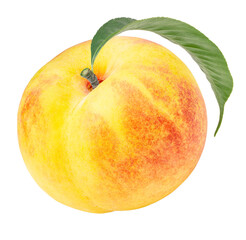 Peach fruit with leaf on white background, Sweet White Peach fruit on a branch over white Png File.