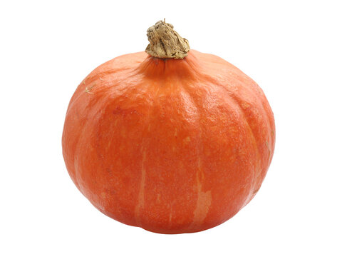 Oranger Hokkaido K&uuml;rbis