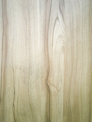 Artificial wood skin, imitating nature. Synthetic wood surface with vertical pattern. Blank background.