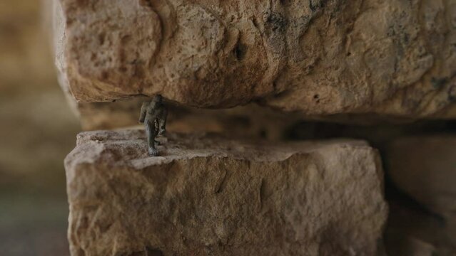 Chewbacca action figure toy on the rock