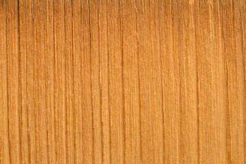The texture of the thickness of natural wood. Background texture of wood.