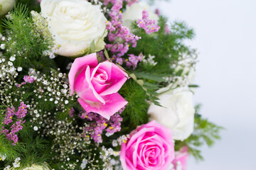 Many kinds of flowers images clear shot and macro shot see the picture in detail