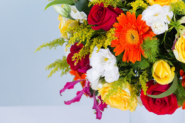 Many kinds of flowers images clear shot and macro shot see the picture in detail