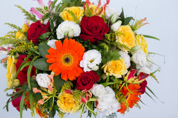 Many kinds of flowers images clear shot and macro shot see the picture in detail